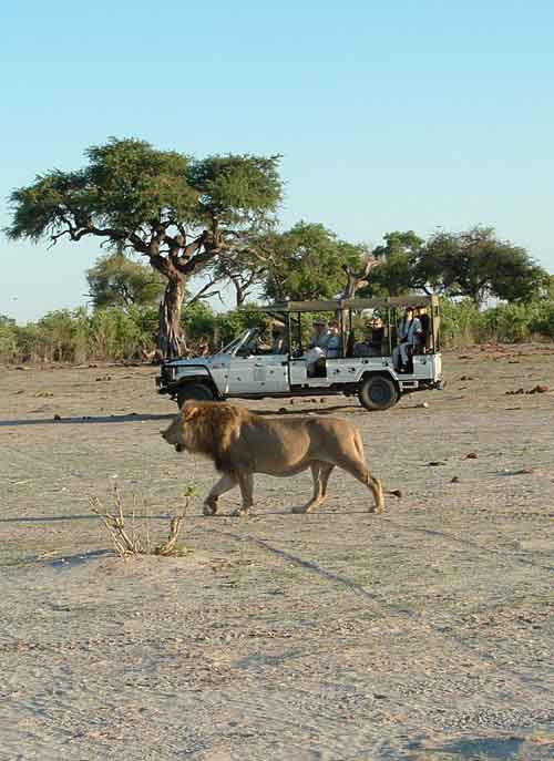 Ghoha Hills Savuti Lodge - Botswana