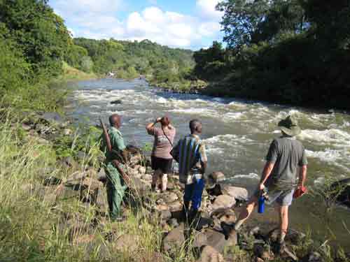 Bua River Lodge - Nkhotokota Malawi