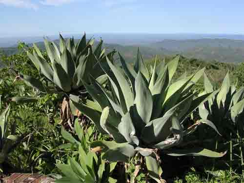 Fisherman's Rest - Blantyre Malawi