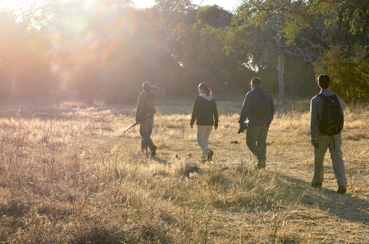 Tusk & Mane Camp  - Lower Zambezi Zambia