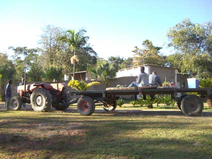 Bushmen Rock - Harare Zimbabwe
