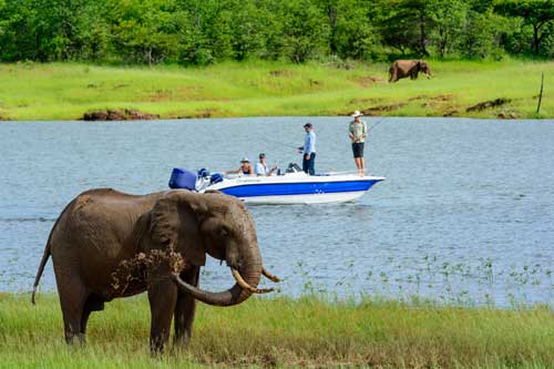 priv� safari lake cruise - kariba Zimbabwe