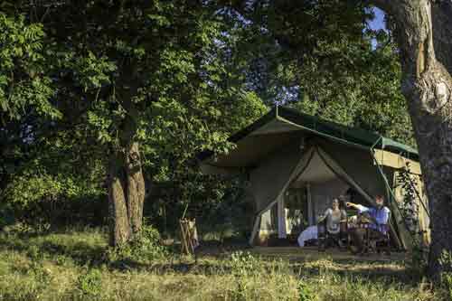 John's Camp - Mana Pools Zimbabwe