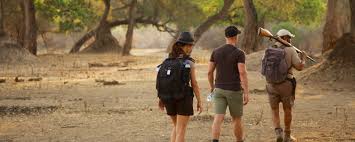 Shoreline Trail - Mana Pools Zimbabwe