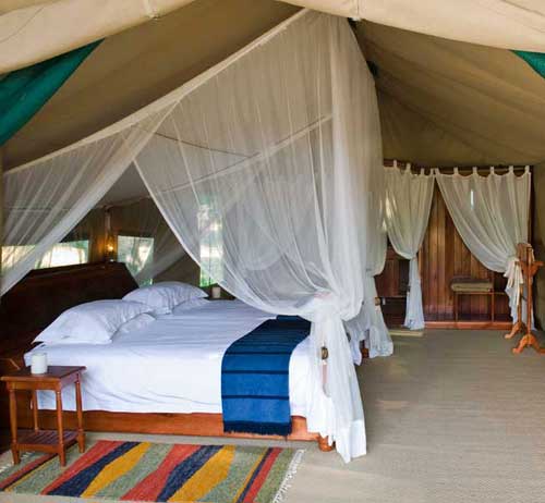 Sango Camp - Save Valley Zimbabwe