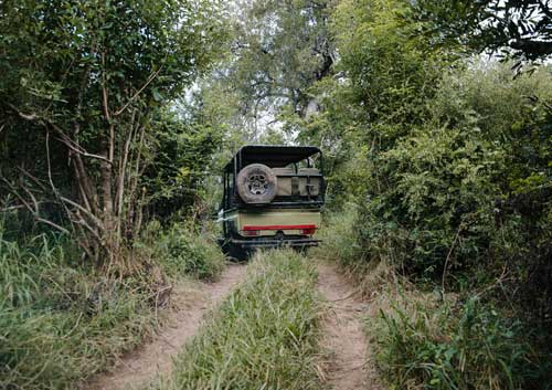 Gonarezhou Zimbabwe Gonarezhou Zimbabwe