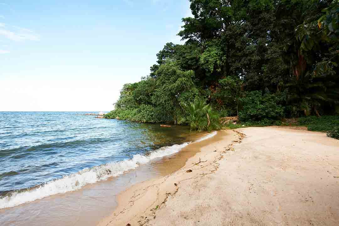 Saadani safari Tanzania