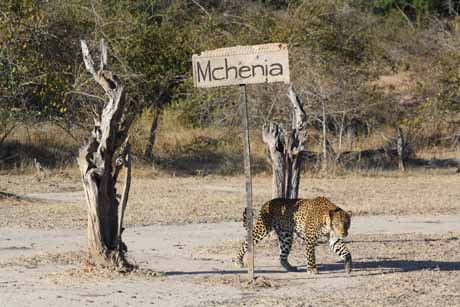 Mchenja Bush Camp - Norman Carr-Safaris Mchenja Norman Carr-Safaris