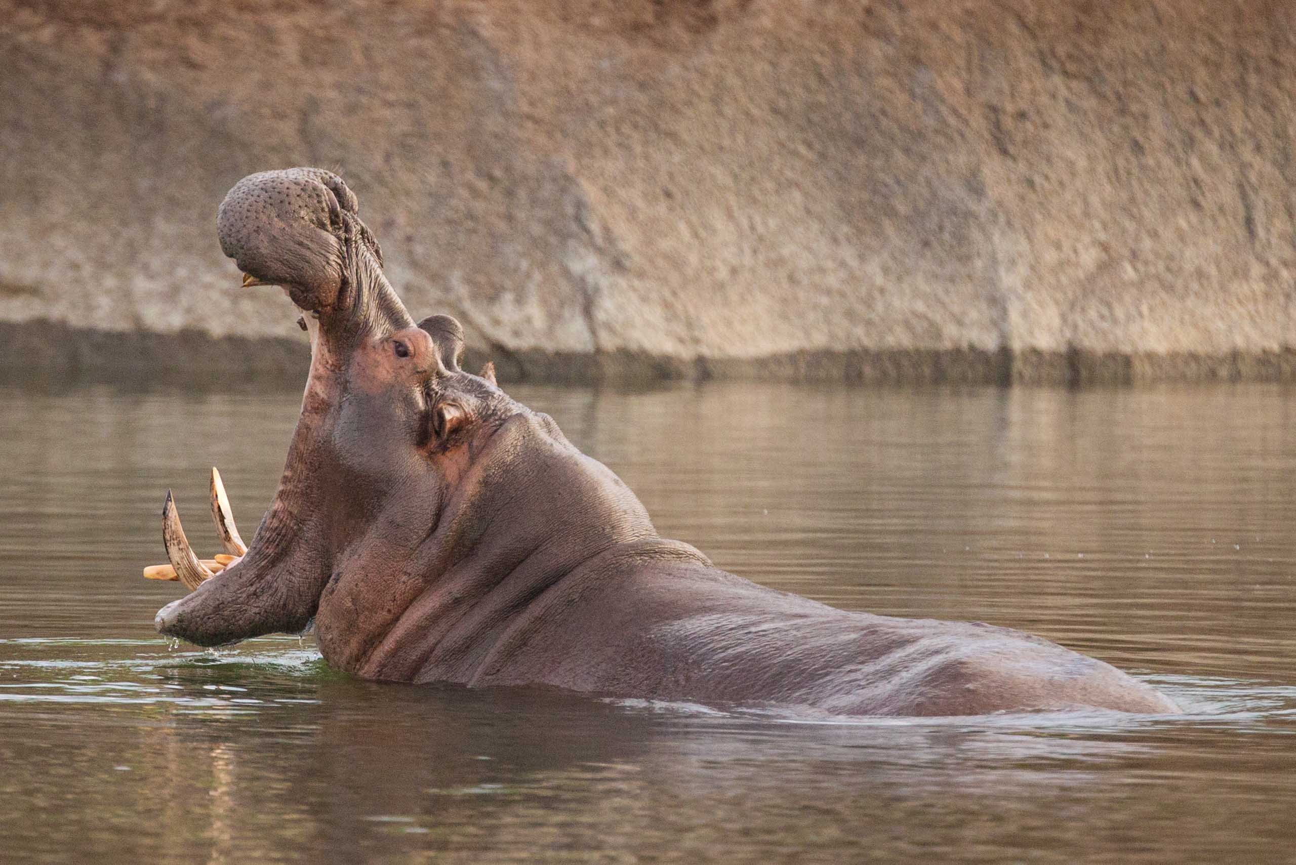 Kafue Rivier - central Kafue Kafue National Park Zambia