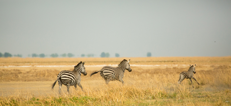 Liuwa Plains Liuwa Plains Zambia