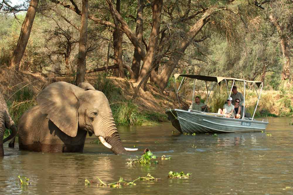 Lower Zambezi National Park Zambia