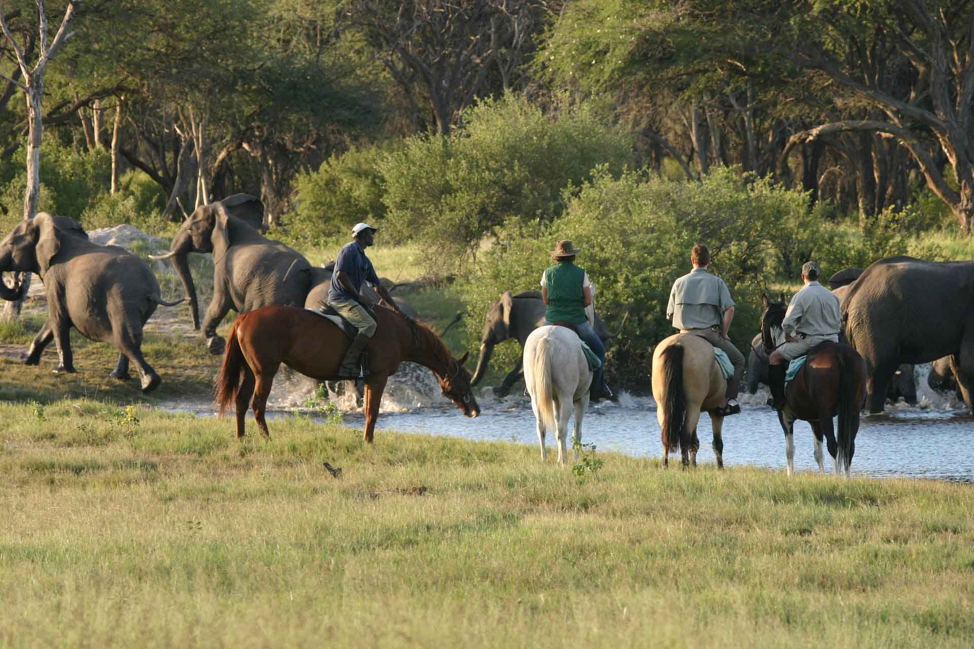 Paardrijd safari Zimbabwe Matobo
