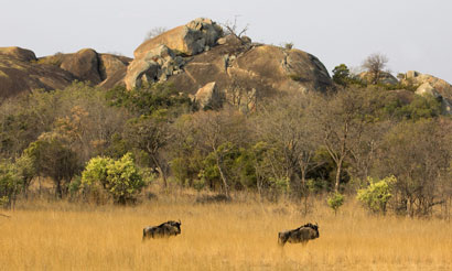 Matobo Hills Zimbabwe
