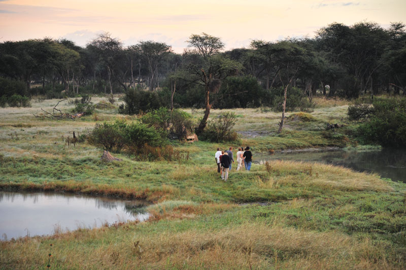 Hwange National Park Game drive in Hwange National Park