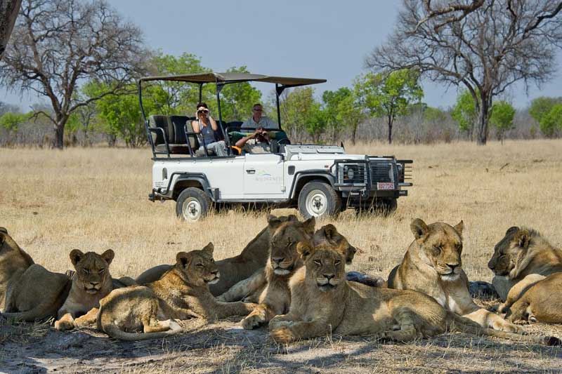 Hwange National Park Zimbabwe Hwange National Park