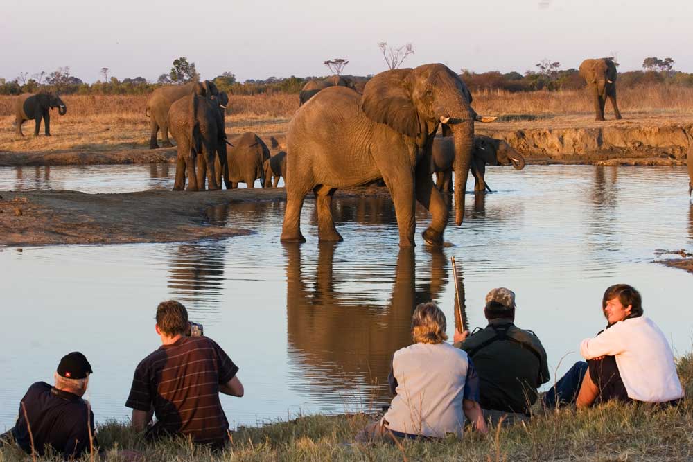 Hwange National Park Zimbabwe Hwange National Park